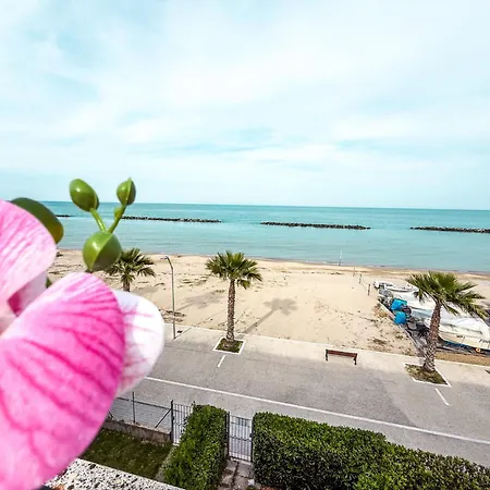 Apartamento Duplex Emirati Fronte Mare Rif A781 *